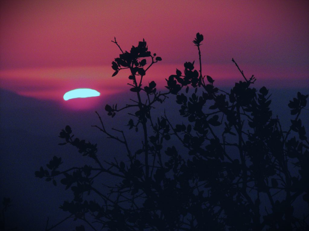 sunset stylized